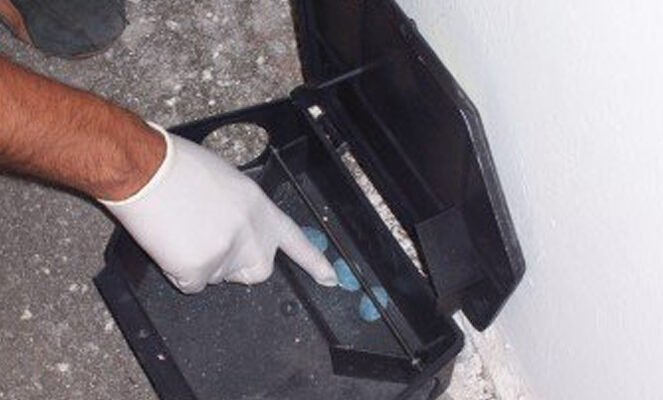 5AE42AD5-53C6-4865-B530-95CD5498B4A1