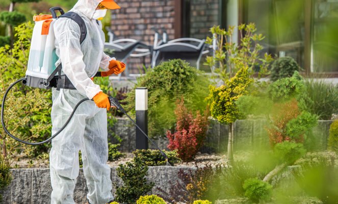 bursa bahçe ilaçlama