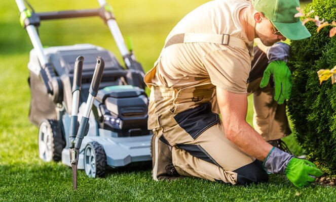 yabani otla mücadele hizmeti