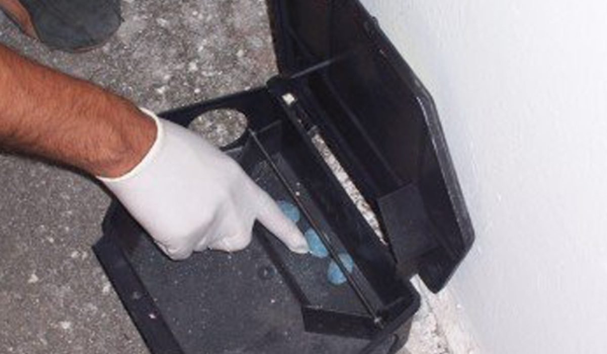 5AE42AD5-53C6-4865-B530-95CD5498B4A1